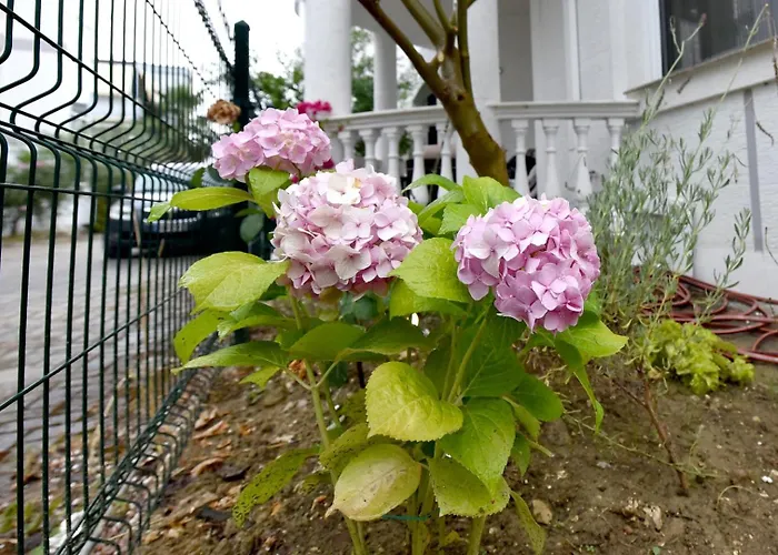 Serenity Apartment Golem (Tirana)